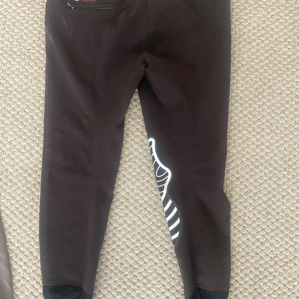 Equine Couture brown stretch breeches excellent condition? Size 29